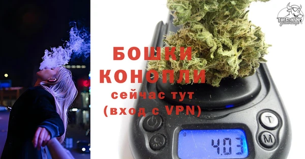 spice Балахна