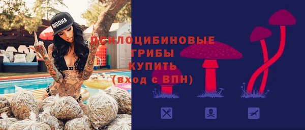 spice Балахна